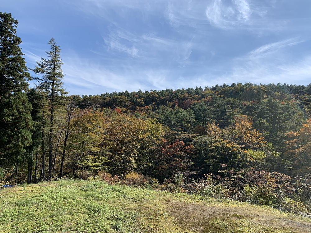 今朝の気温。。