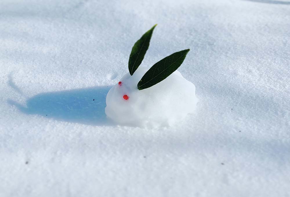 新年明けましておめでとうございます