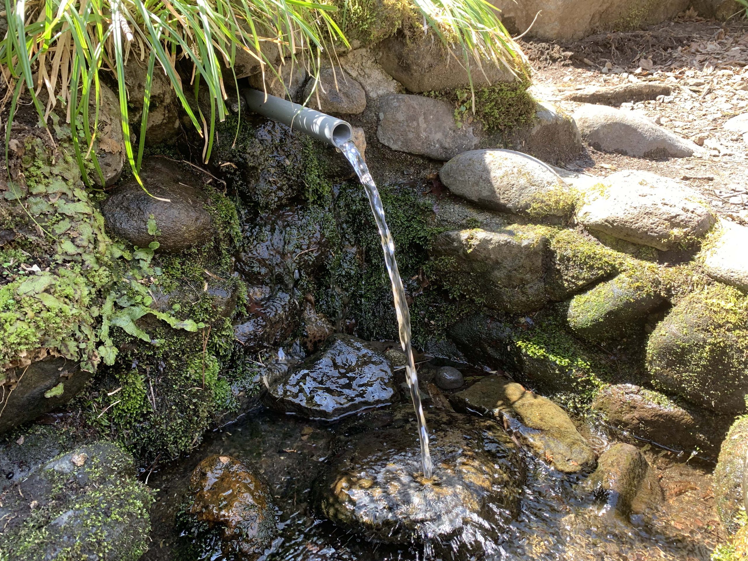 休養村の湧水